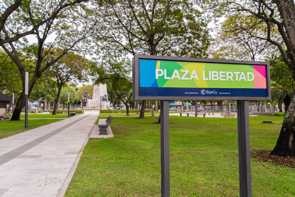 Cultura ambiental 6