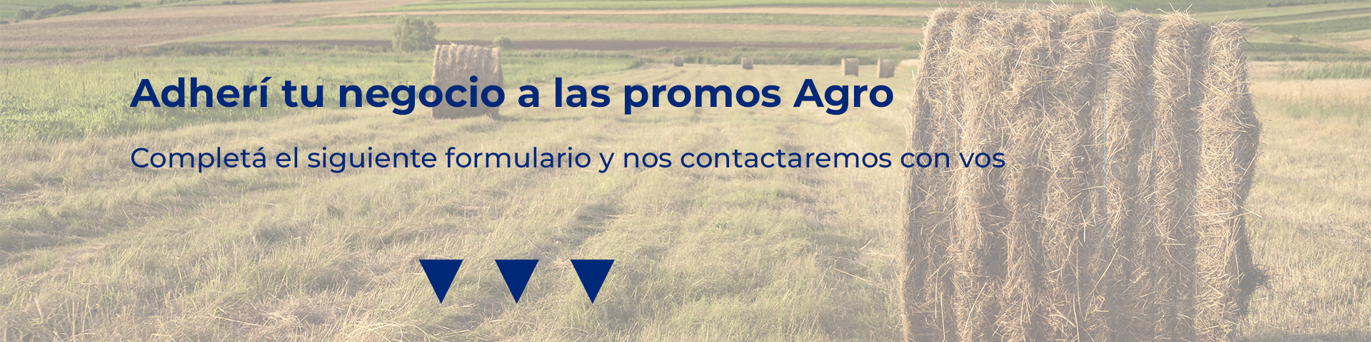 ¡Completa el siguiente formulario y nos contactamos con vos!